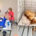 Funda Nenja’s Monthly Sterilisations