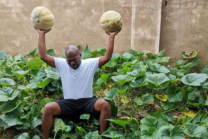 Cabbage Bandit Support