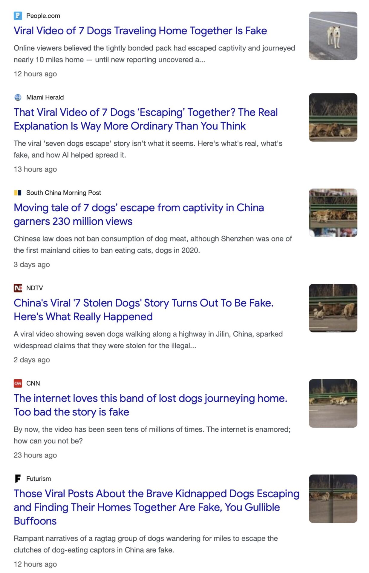 How 7 Dogs Became a Story The Internet Got Wrong (But it's Still Good News)